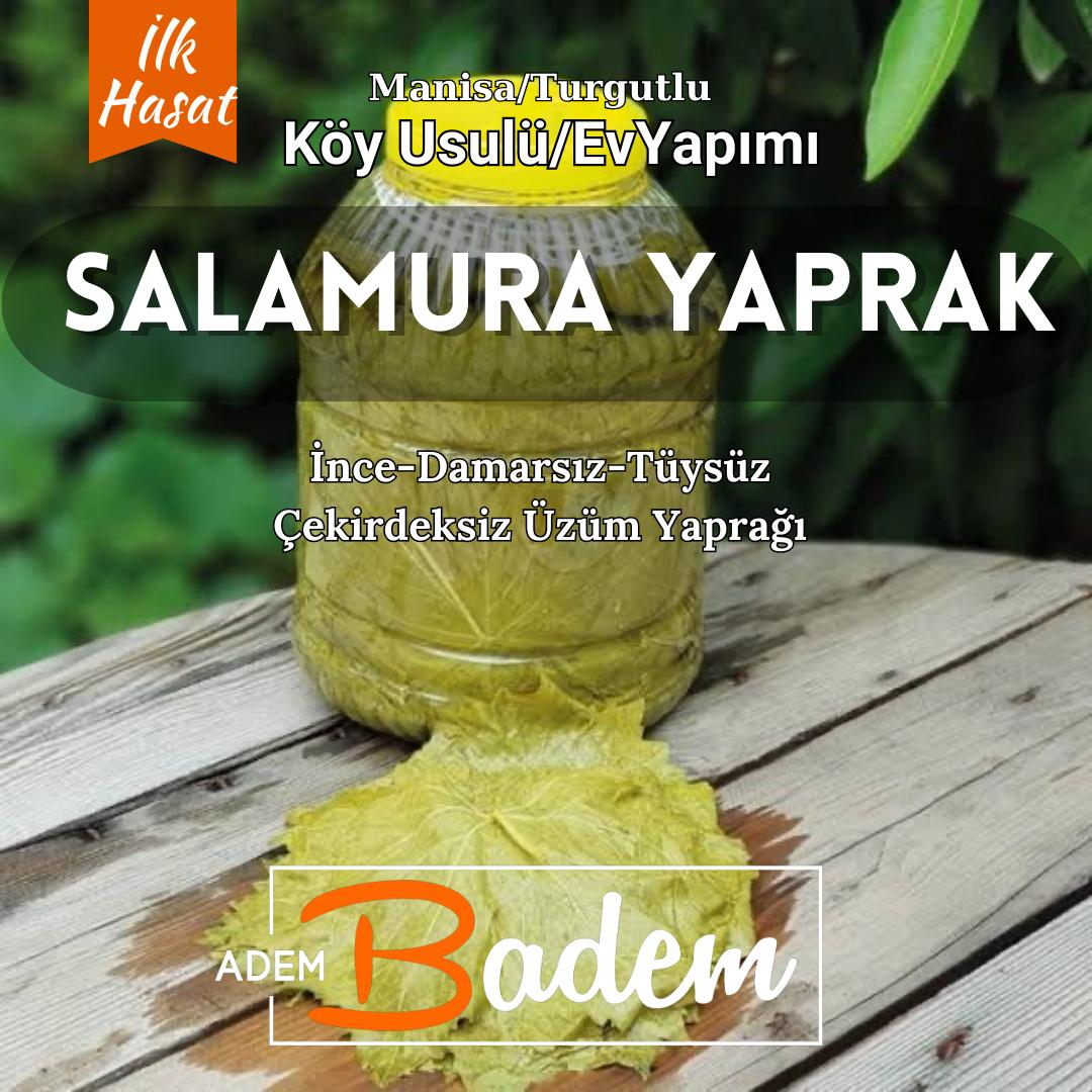 SALAMURA%20YAPRAK